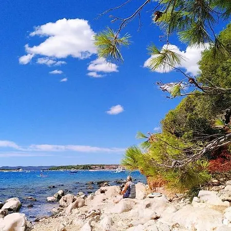 Lukenda - Cozy Double With Shared Kitchen & Terrace Pakoštane